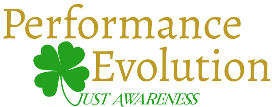 Performance Evolution