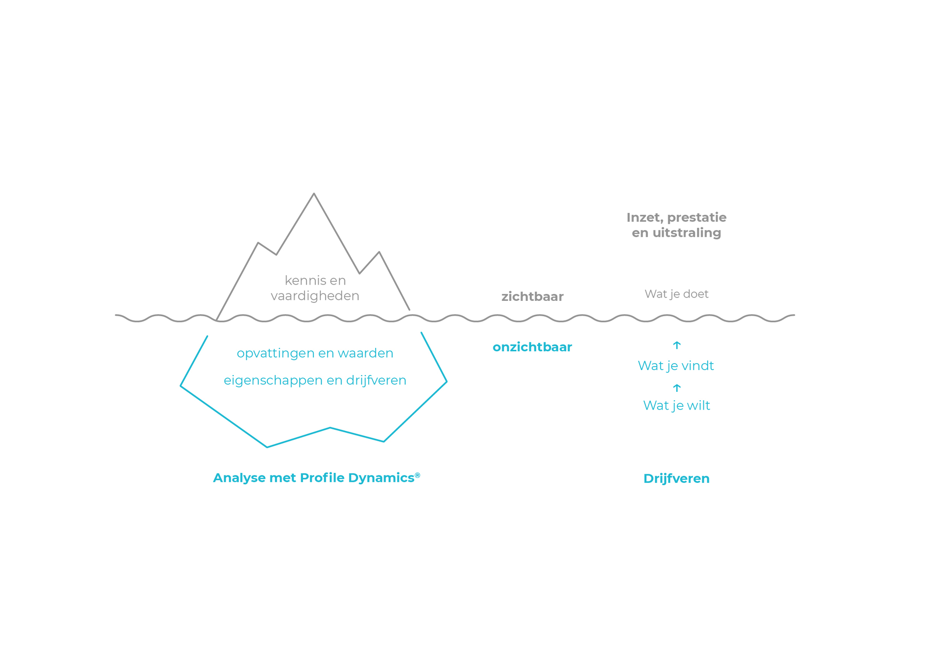 Profile_Dynamics_Infographics_RGB_Iceberg_NL drijfveren ijsberg